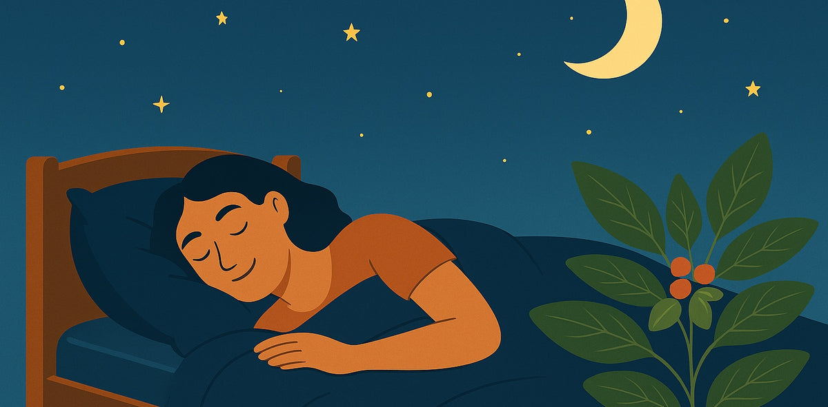 Ashwagandha för sömn och stress – hur fungerar det egentligen?